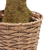 Flettet kurv med plantestammen fra den kunstige plante OLIVE II fra hjh OFFICE