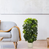 Grøn kunstige plante Schefflera 2 i en enkel hvid potte fra hjh OFFICE