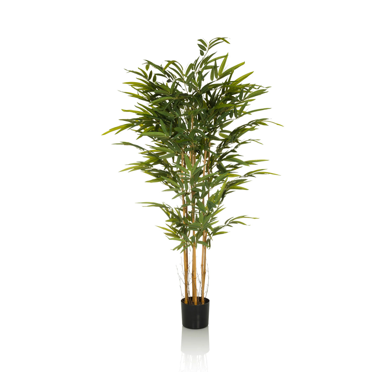 Grøn Kunstige plante BAMBUS II formet som en bambus med sort plantekrukke fra hjh OFFICE – 360-graders visning (sideprofil 90°)