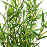 Grønne blade fra den Kunstige plante MINI BAMBUS fra hjh OFFICE