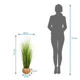 Måltegning af den Kunstige plante CORTADERIA med en højde på 112 cm og bredde på 30 cm fra hjh OFFICE