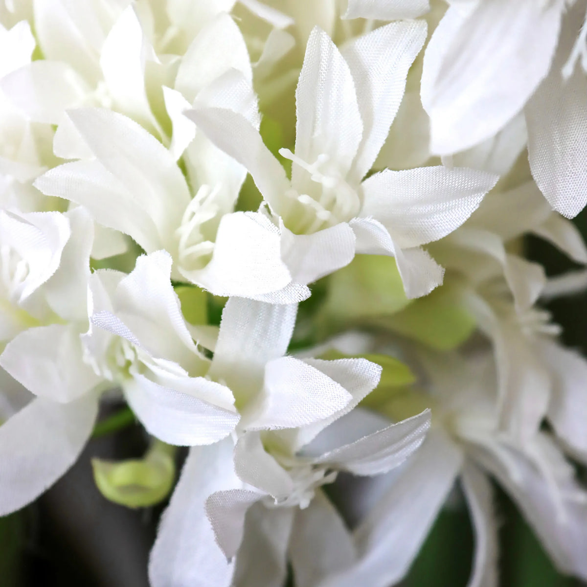 Hvide blomster på den kunstige plante AGAPANTHUS fra hjh OFFICE
