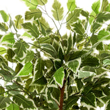 Grøn-hvide marmorerede blade fra den Kunstige plante FICUS fra hjh OFFICE