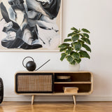 Kunstige plante Ficus 3 i grøn-hvid med hvid potte på en skænk fra hjh OFFICE