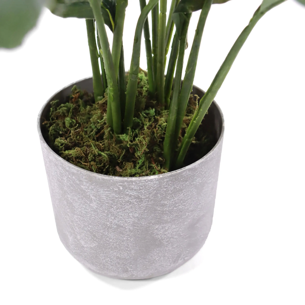 Grå urtepotte med grønt mos fra den kunstige plante Spathiphyllum 1 fra hjh OFFICE