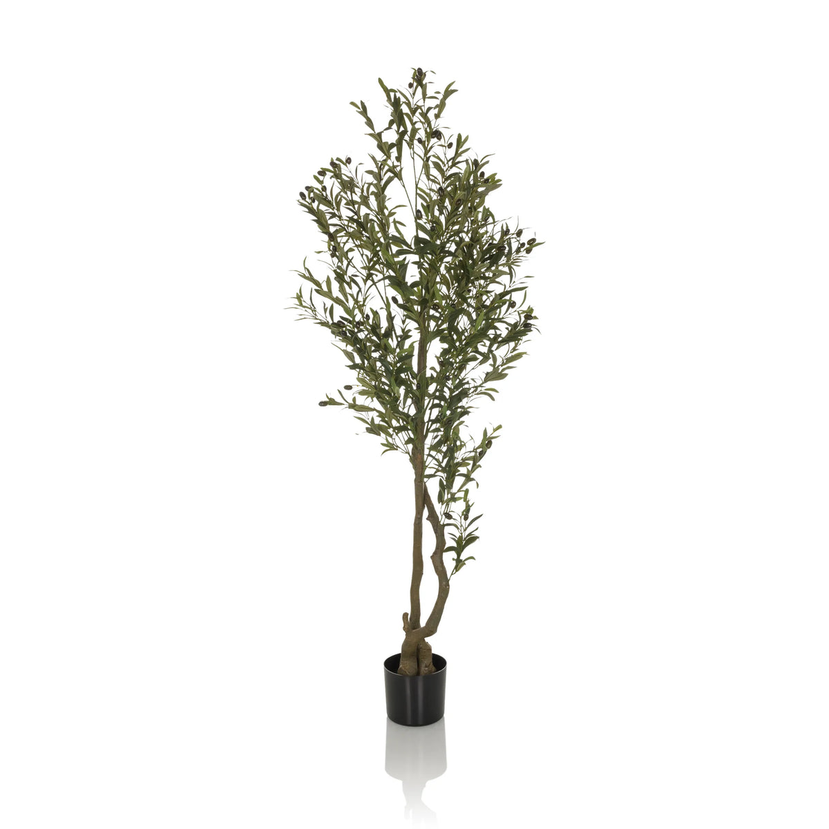 Grøn Kunstige plante OLIVE I i en enkel sort potte fra hjh OFFICE – 360-graders visning (sideprofil 90°)