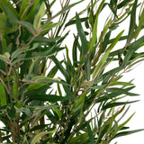 Grønne blade fra den Kunstige plante BAMBUS fra hjh OFFICE