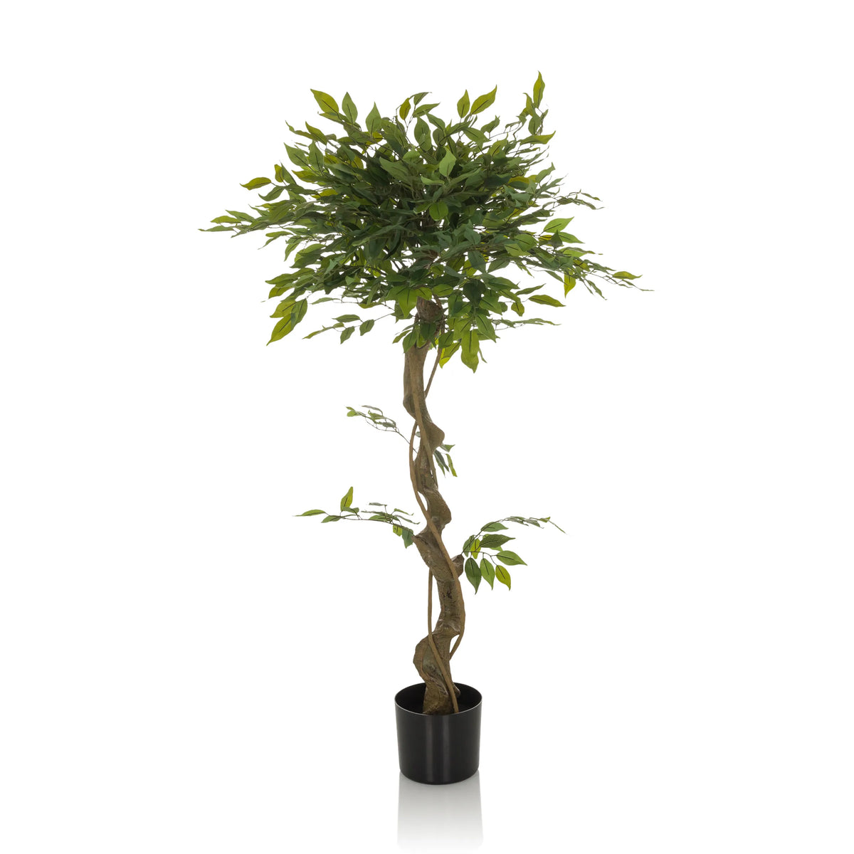 Grøn Kunstige plante FICUS I med flettet stamme i en sort potte fra hjh OFFICE – 360-graders visning (sideprofil 90°)