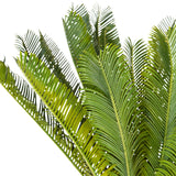 Grønne blade fra den Kunstige plante CYCAS fra hjh OFFICE