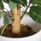 Stængel og blade på den kunstige plante FICUS II i en hvid potte fra hjh OFFICE