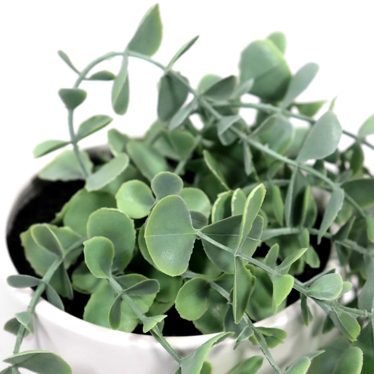 Grønne blade fra den kunstige plante EUCALYPTUS CLIMB i en hvid potte fra hjh OFFICE
