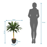 Måltegning af den Kunstige plante DRACAENA I med en højde på 85 cm og bredde på 33 cm fra hjh OFFICE