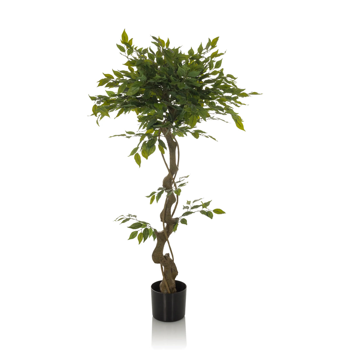Grøn Kunstige plante FICUS I med flettet stamme i en sort potte fra hjh OFFICE – 360-graders visning (forfra 0°)