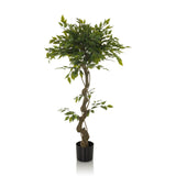 Grøn Kunstige plante FICUS I med flettet stamme i en sort potte fra hjh OFFICE – 360-graders visning (forfra 0°)
