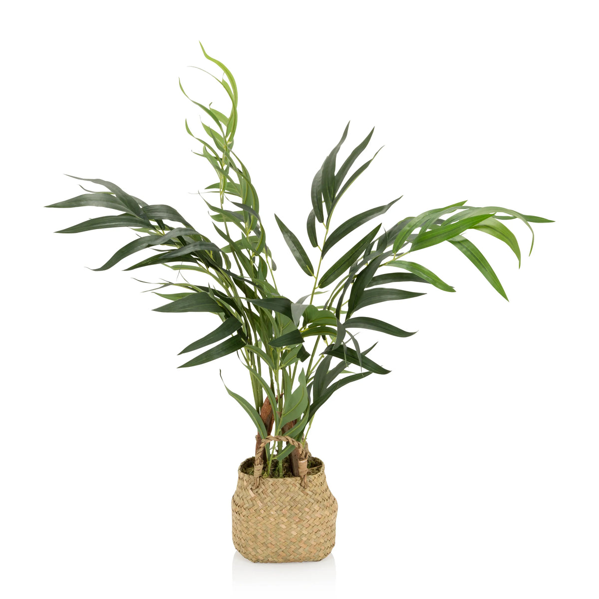 Grøn Kunstige plante CHAMAEDOREA i en flettet potte af naturmateriale fra hjh OFFICE – 360-graders visning (sideprofil 90°)