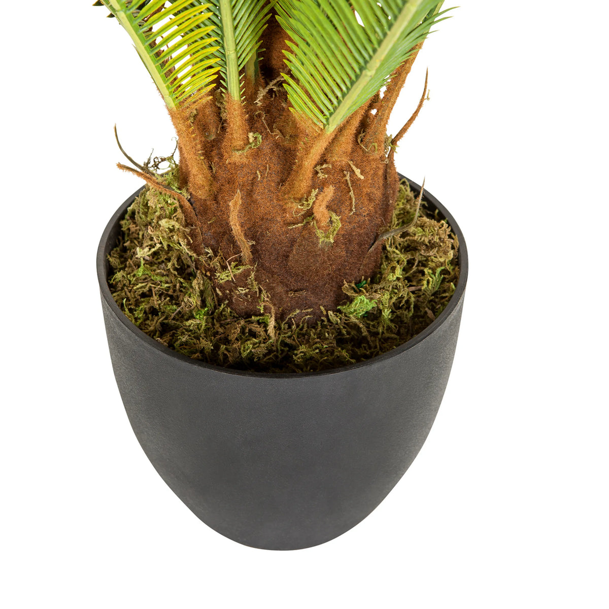Stamme og sort yderpotte til den Kunstige plante CYCAS fra hjh OFFICE
