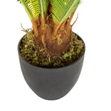 Stamme og sort yderpotte til den Kunstige plante CYCAS fra hjh OFFICE