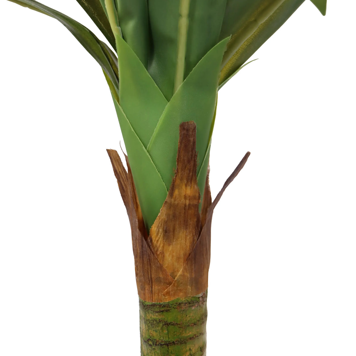 Stammebase og grønne blade på den Kunstige plante DRACAENA I fra hjh OFFICE