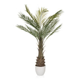Grøn Kunstige plante DRACAENA formet som en palme med hvid potte fra hjh OFFICE – 360-graders visning (sideprofil 90°)