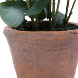 Terrakotta-potte til den kunstige plante Eucalyptus med grønne blade fra hjh OFFICE