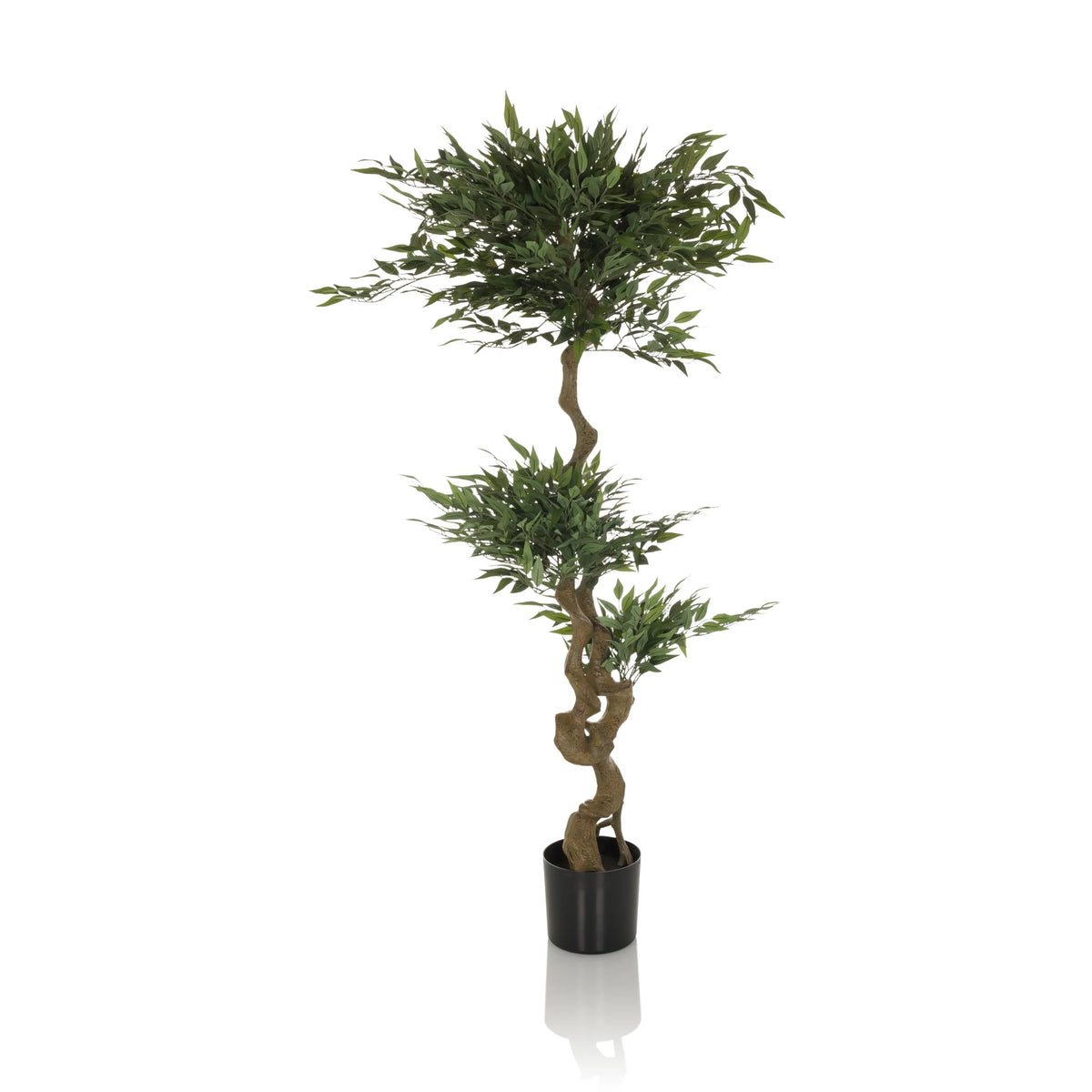 Grøn Kunstige plante ACACIA med snoet stamme i sort potte fra hjh OFFICE – 360-graders visning (forfra 0°)