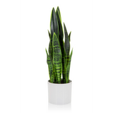 Grøn Kunstige plante SANSEVIERIA i en hvid udenpotte fra hjh OFFICE – 360-graders visning (forfra 0°)