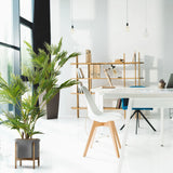 Grøn kunstig plante ARECA I i en grå potte på et træstativ fra hjh OFFICE
