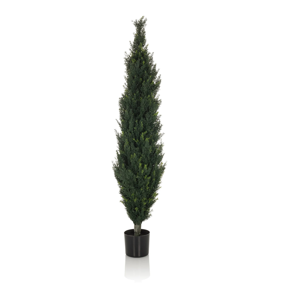 Grøn Kunstige plante CEDRUS i form af en høj cypres med sort plantepotte fra hjh OFFICE – 360-graders visning (forfra 0°)