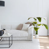 Grøn Kunstige plante BANANE i en hvid potte ved siden af en sofa fra hjh OFFICE