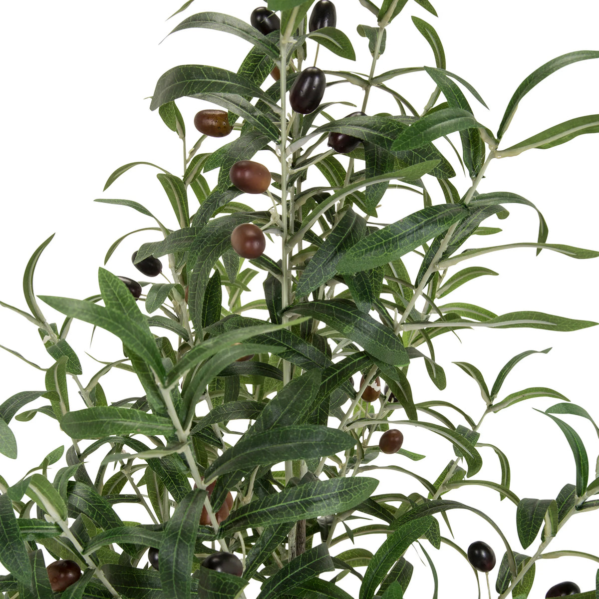 Blade og mørke oliven fra den kunstige plante OLIVE fra hjh OFFICE