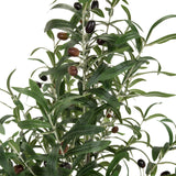 Blade og mørke oliven fra den kunstige plante OLIVE fra hjh OFFICE