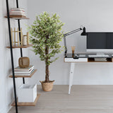 Kunstig plante FICUS i grøn med en flettet kurv som krukke fra hjh OFFICE