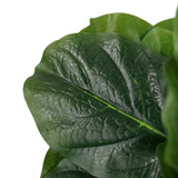 Grønt blad med tydelig bladnervestruktur fra den Kunstige plante LYRATA fra hjh OFFICE