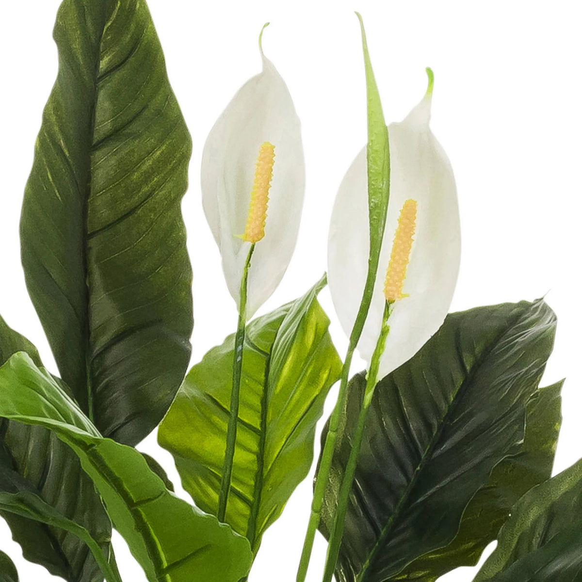 Hvide blomster og grønne blade på den Kunstige plante Spathiphyllum 1 fra hjh OFFICE