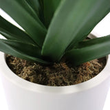 Grønne blade og mosbeklædning på den Kunstige plante Agave i en hvid potte fra hjh OFFICE