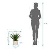 Måltegning af den Kunstige plante Agave med 45 cm højde og 40 cm bredde fra hjh OFFICE