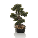 Grøn Kunstige plante BONSAI formet som en bonsai i en sort potte med småsten fra hjh OFFICE – 360-graders visning (forfra 0°)