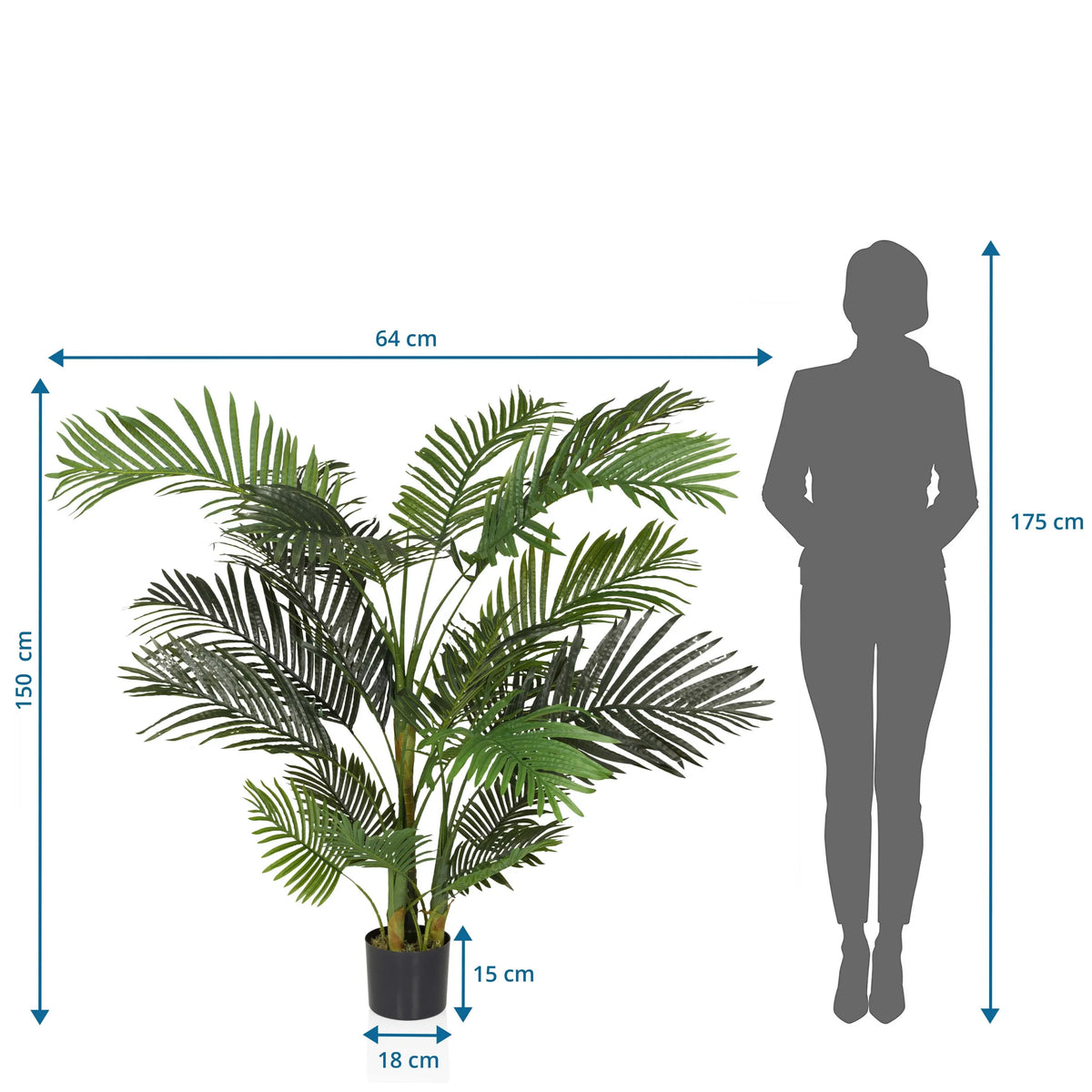 Måltegning af den Kunstige plante ARECA II med en højde på 150 cm og bredde på 64 cm fra hjh OFFICE