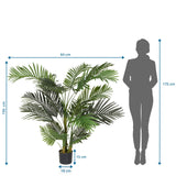 Måltegning af den Kunstige plante ARECA II med en højde på 150 cm og bredde på 64 cm fra hjh OFFICE