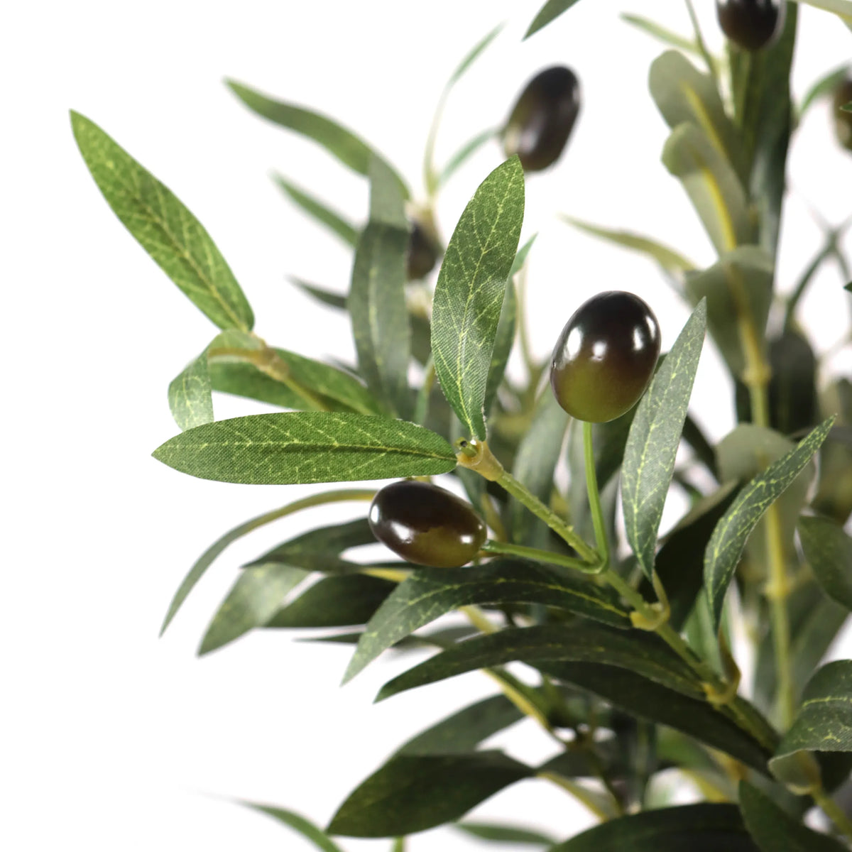 Grønne blade og mørke oliven fra den Kunstige plante OLIVE I fra hjh OFFICE