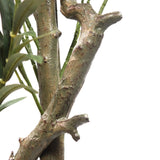 Struktureret brun stamme fra den Kunstige plante OLIVE I fra hjh OFFICE