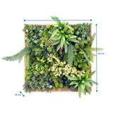Måltegning af Plantemåtte LEAFLUXE WALL 1 med 50 × 50 cm og 16 cm dybde fra hjh LIVING
