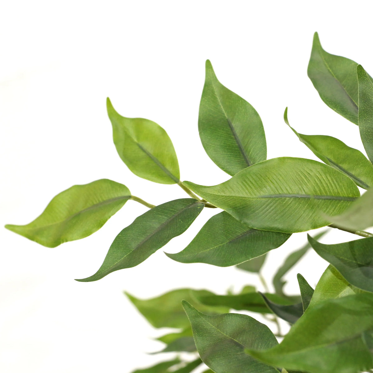 Grønne blade fra den Kunstige plante FICUS I fra hjh OFFICE