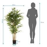 Måltegning af den Kunstige plante BAMBUS II med en højde på 150 cm og bredde på 80 cm fra hjh OFFICE