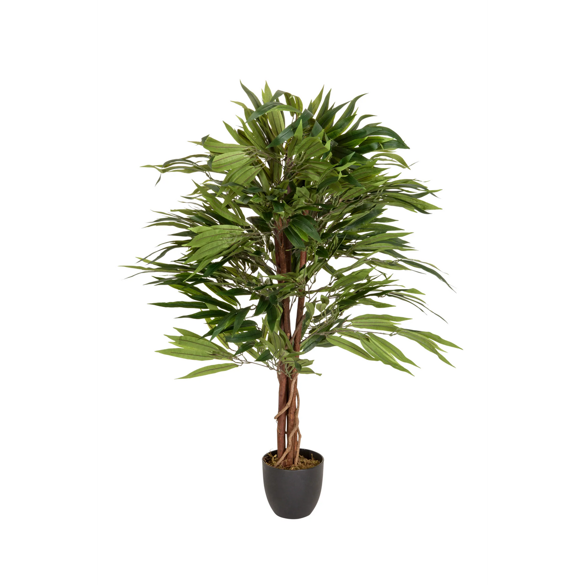 Grøn Kunstige plante MANGO med flettet stamme i en sort potte fra hjh OFFICE – 360-graders visning (forfra 0°)