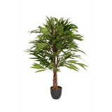 Grøn Kunstige plante MANGO med flettet stamme i en sort potte fra hjh OFFICE – 360-graders visning (forfra 0°)