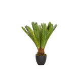 Grøn Kunstige plante CYCAS i en sort urtepotte fra hjh OFFICE – 360-graders visning (forfra 0°)