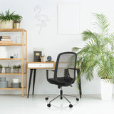 Sort Home Office kontorstol SEDIOLO B med netryglæn og armlæn fra hjh OFFICE