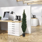 Grøn kunstige plante CEDRUS i en sort potte på kontoret fra hjh OFFICE