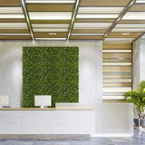 Grøn plantemåtte MORE GREEN I som vertikal beplantning på en lys betonvæg i et receptionsområde fra hjh OFFICE